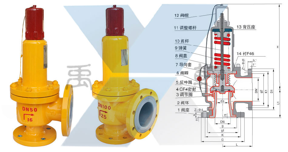 A42F46-16C-DN32弹簧衬氟安全阀(图1)